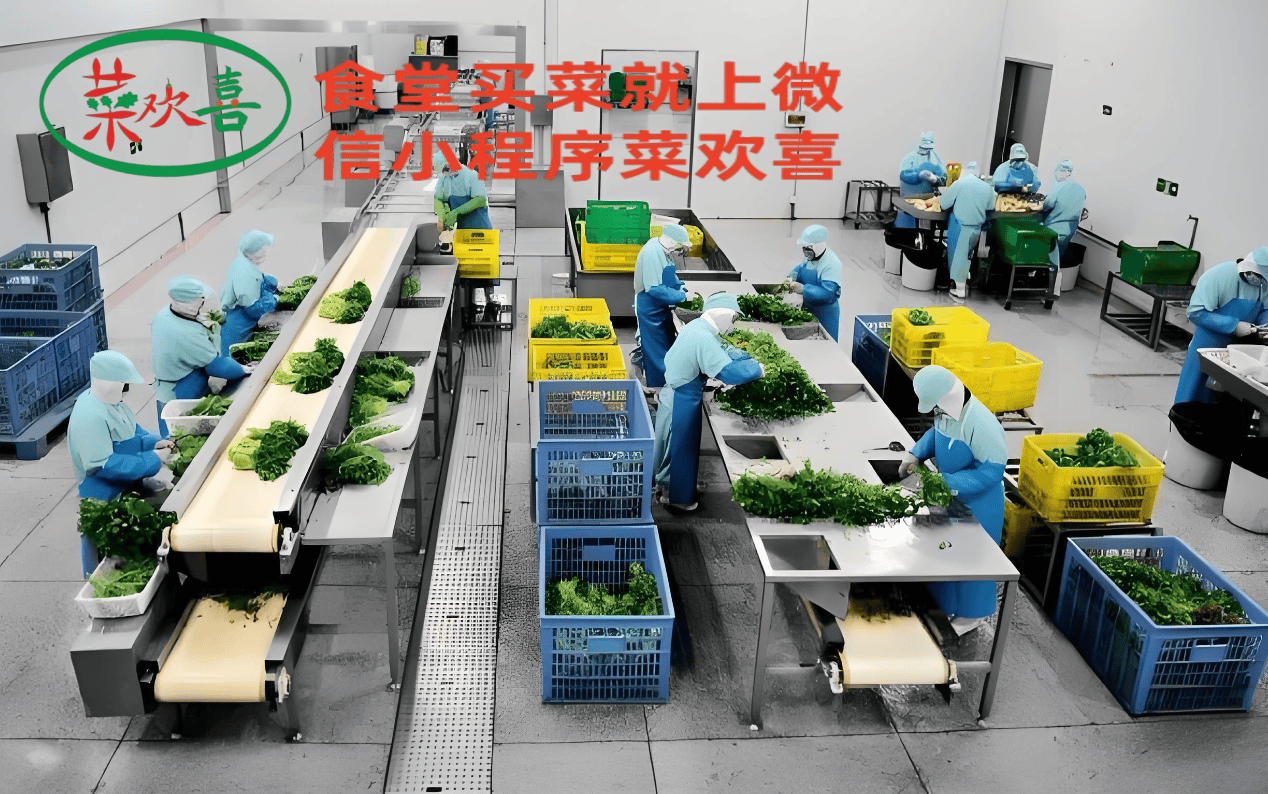 泉州市蔬菜配送市場(chǎng)“菜歡喜”農(nóng)產(chǎn)品銷得快 計(jì)算機(jī)信息技術(shù)的應(yīng)用與啟示